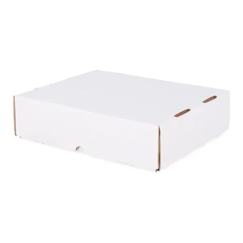 BCW 3200 Count Storage Box (Full Lid)